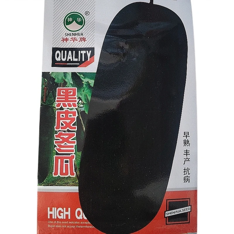 黑皮大冬瓜的种子