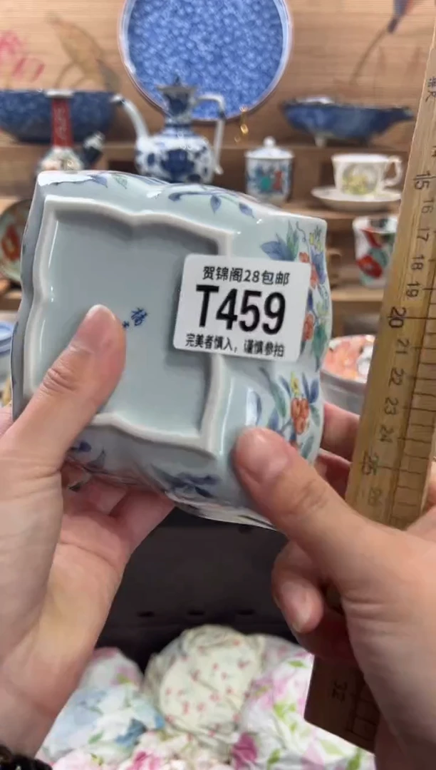 瓷片草**叶     T459