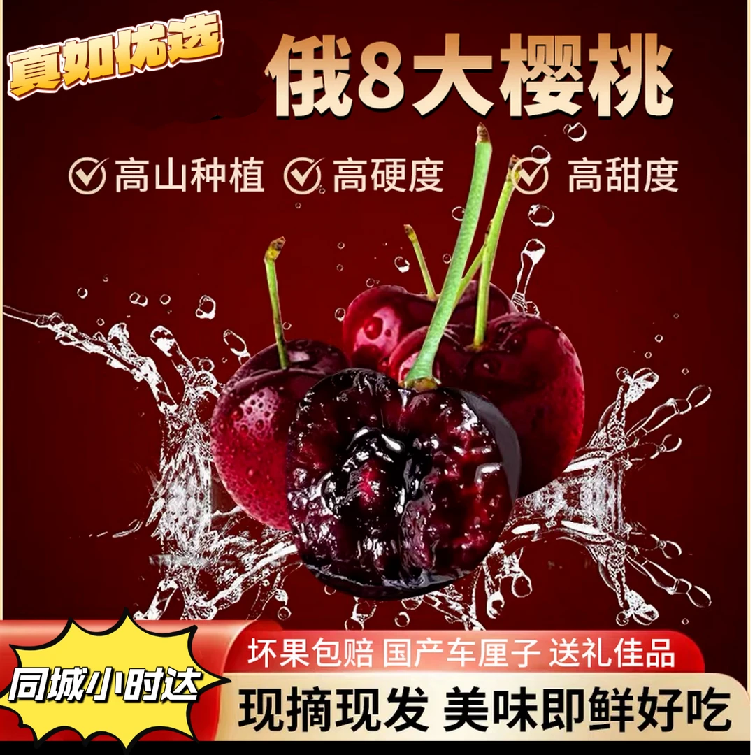 【俄罗斯8号大樱桃】樱桃届中爱马仕捅破天花板存在的贵族樱桃1-2斤大樱桃高甜新鲜采摘应季水果3J-9J俄罗斯8号