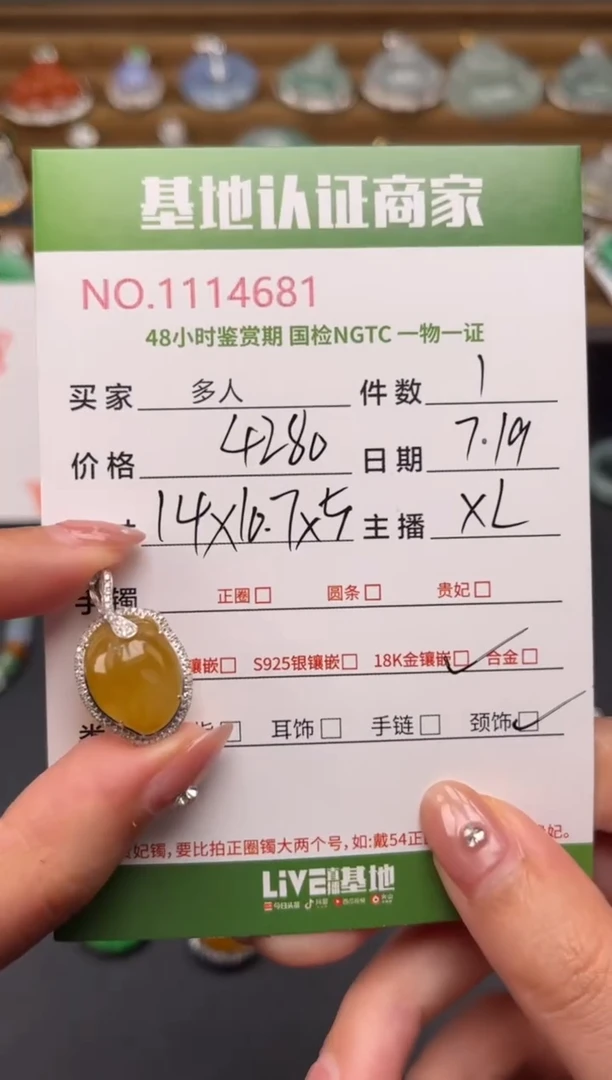 翡翠18K金镶嵌颈饰多人