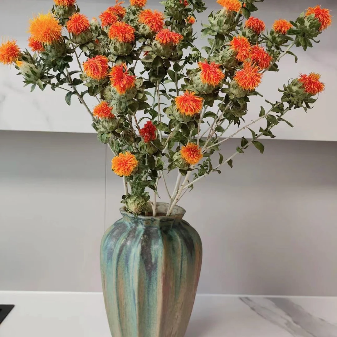 橙菠萝AAA级家居软装鲜花搭配花材可做干花