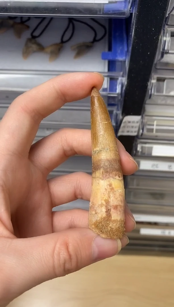 8厘米+精美摆件创意礼物家居配饰新年礼物个人收藏