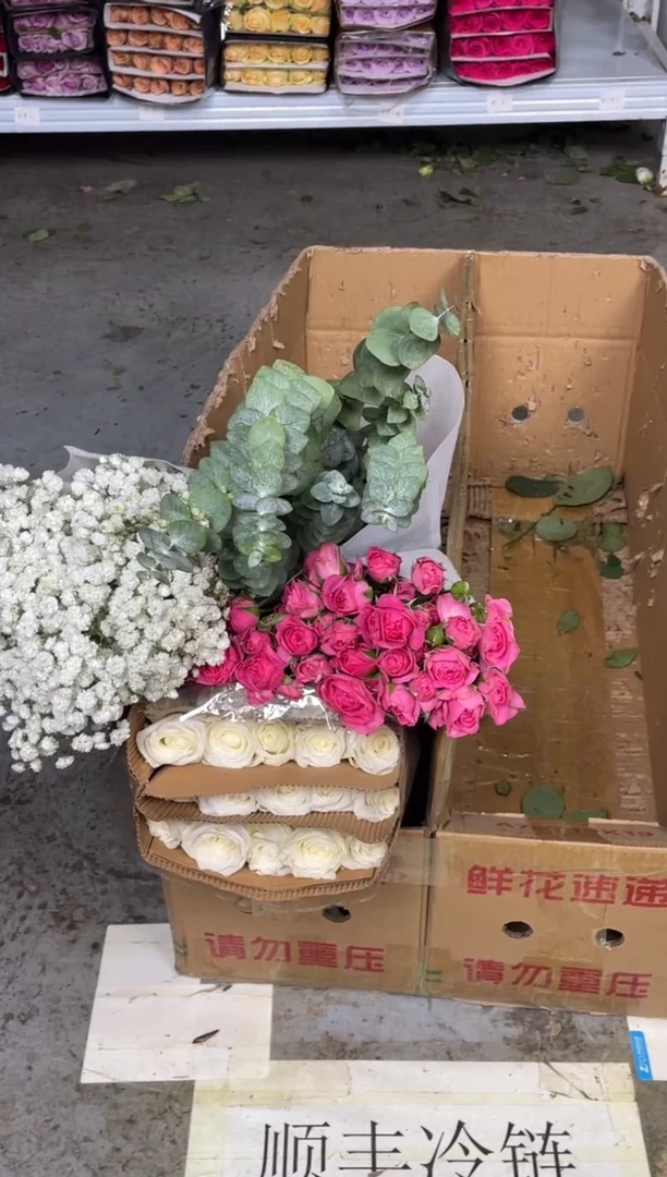 骄傲20枝+苏菲10枝+满天星250克+尤加利