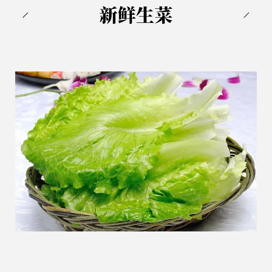新鲜现摘生菜1斤左右
