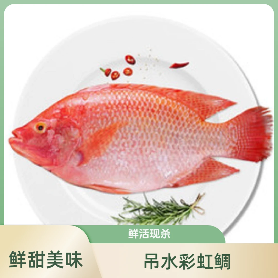 【鲜活现杀 小时到家】瘦身彩虹鲷  550g-700g/条