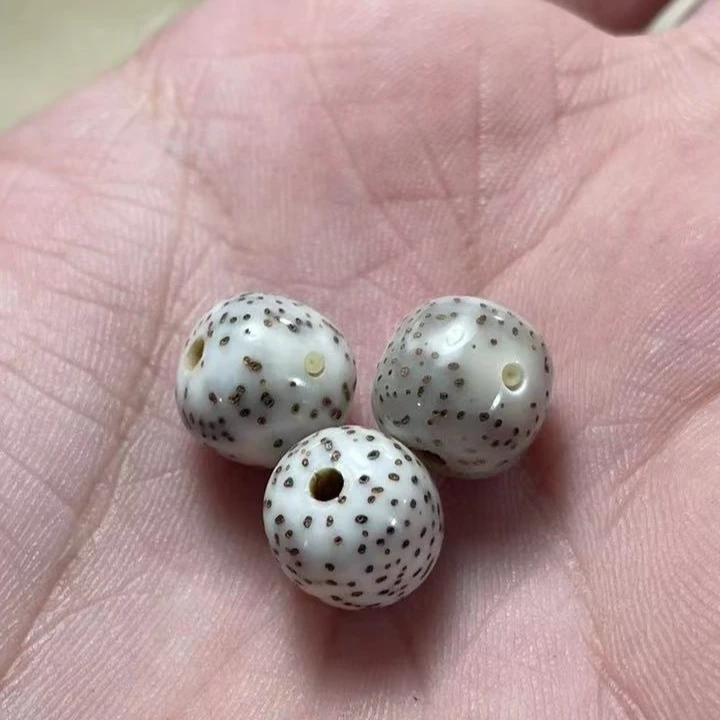 2海南原生态星月菩提改价链接