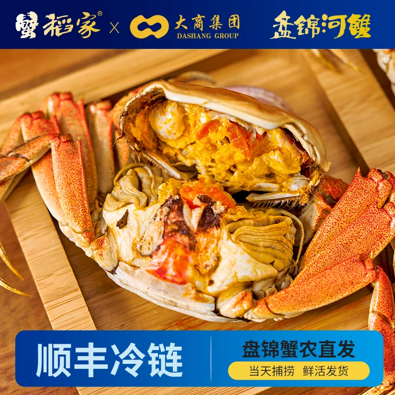 【活蟹】无品牌盘锦河蟹稻田蟹母蟹1-0.8两31-37只顺丰包邮鲜活发货