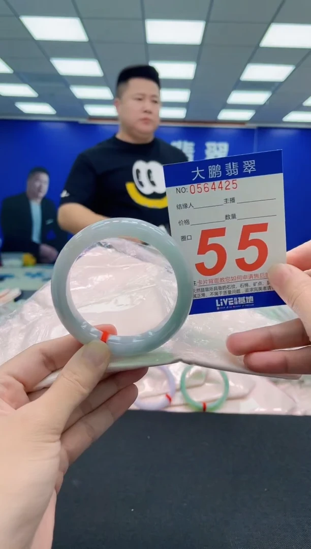 未镶嵌手镯翡翠AAAAAAAAA