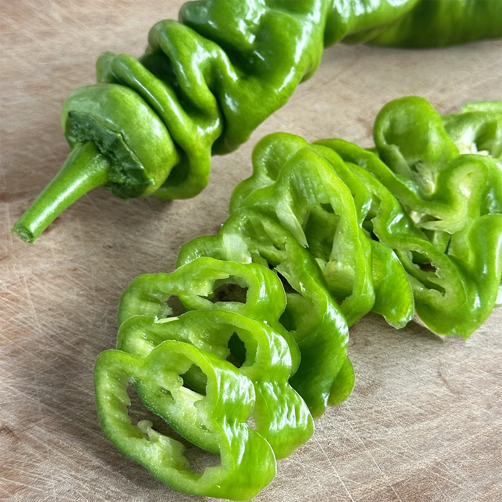 【微辣】螺丝椒现摘现发正宗香辣脆辣椒炒肉中辣口感新鲜辣子