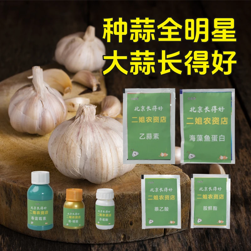 十亩地自选套餐-叶片浓绿油亮-生根壮苗