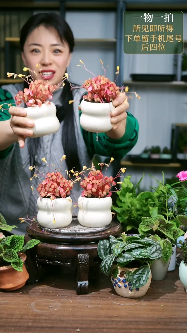 【闪购商品】23熔岩随机