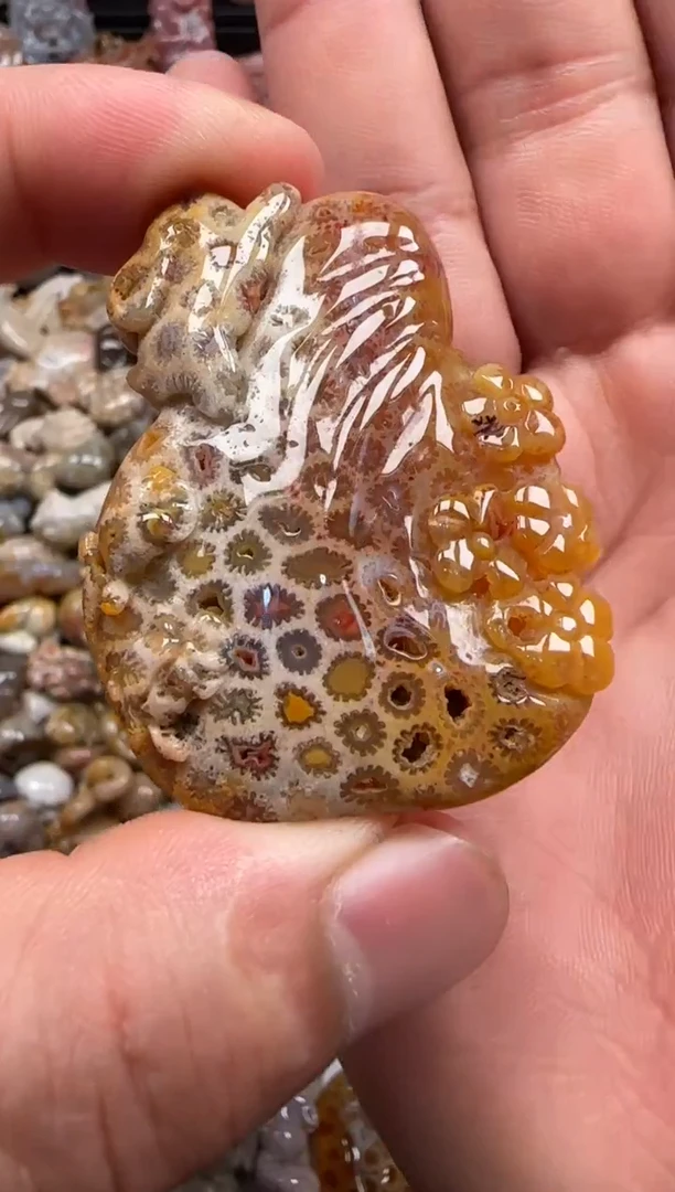 【闪购商品】硅化珊瑚（珊瑚玉）颈饰未镶嵌474