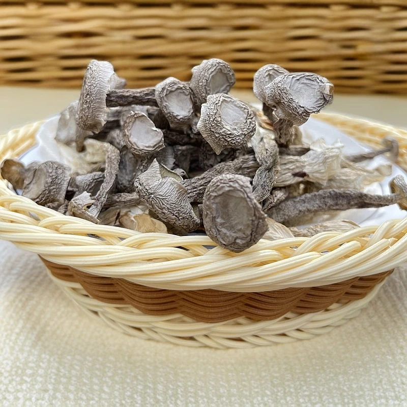 【鹿茸菇】云南特产干净营养红烧煲汤食材食用菌产品净含量40克/袋