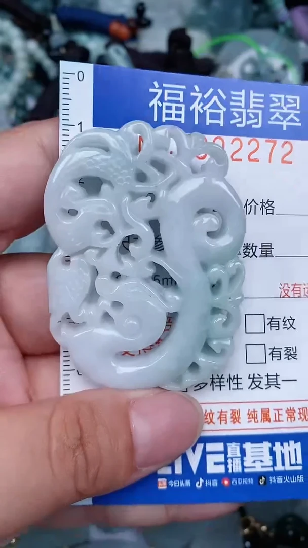 翡翠未镶嵌颈饰...0002272