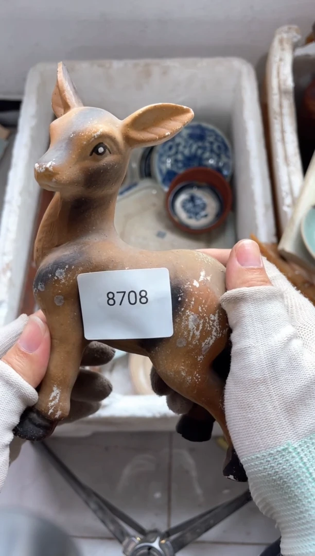 器556677882505308708