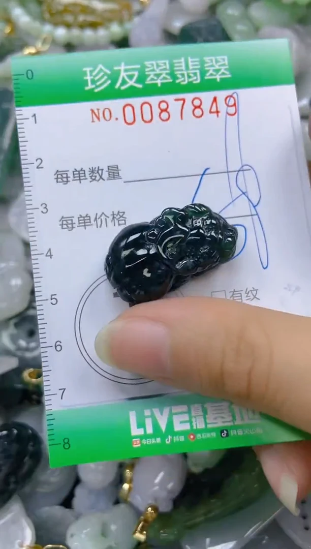 【闪购商品】翡翠颈饰未镶嵌闪购0087849