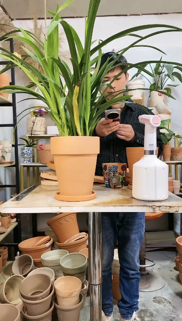 【闪购商品】红陶17*21红陶反比例 1盆1托