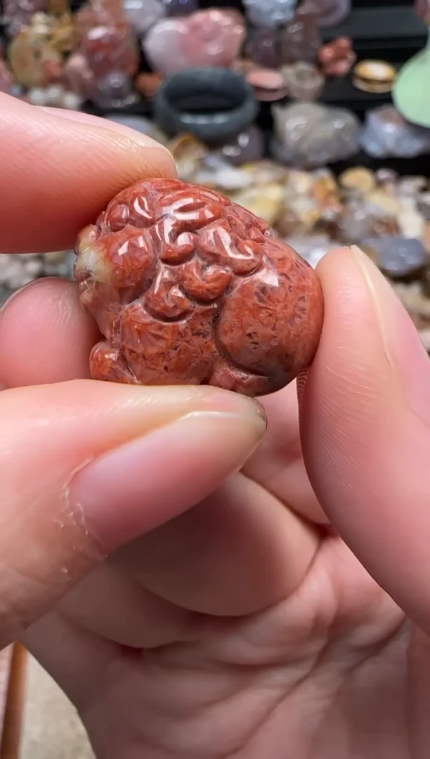 颈饰未镶嵌硅化珊瑚（珊瑚玉）824