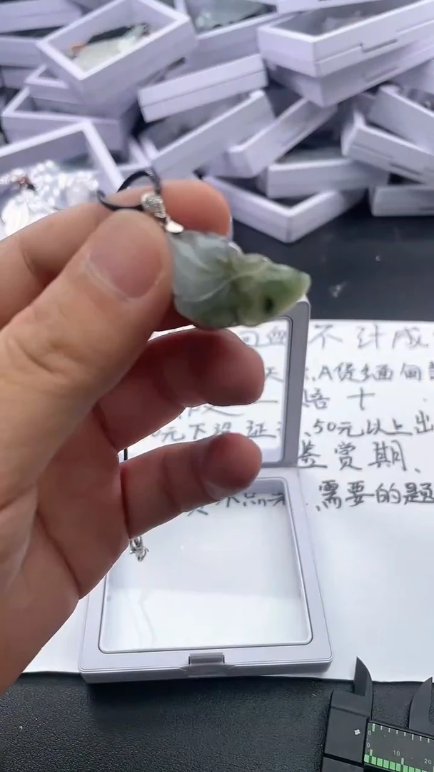 翡翠未镶嵌颈饰..../7/28/ 215