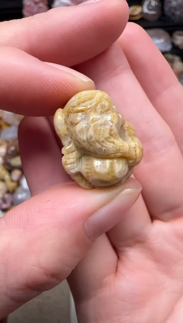 颈饰未镶嵌硅化珊瑚（珊瑚玉）071