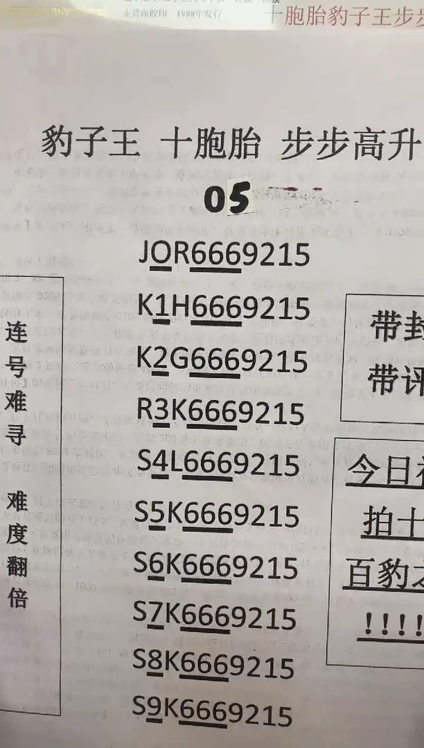 【十胞胎·豹子王·步步升】（拍十发全套）