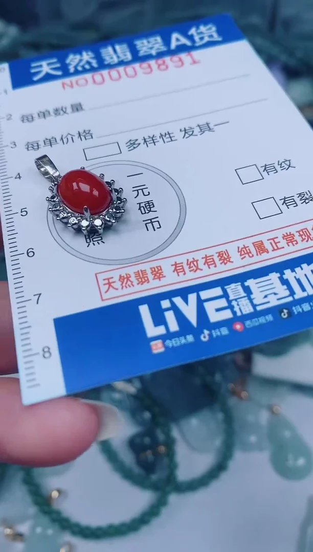 颈饰未镶嵌翡翠00009891