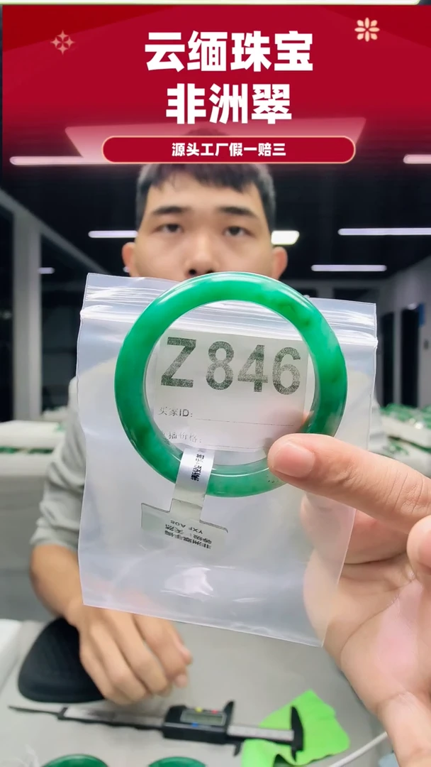 未镶嵌手镯石英质玉（非洲翠）56圈口Z846