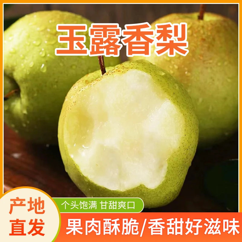 山西玉露香梨产地直发新鲜酥脆多汁甘甜爽口的多种产地梨子