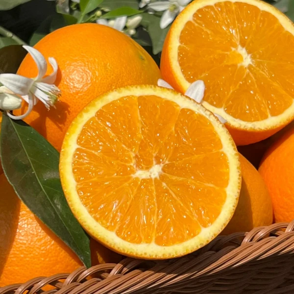 【细腻爆汁】伦晚脐橙12.8/2斤(约3-4个）