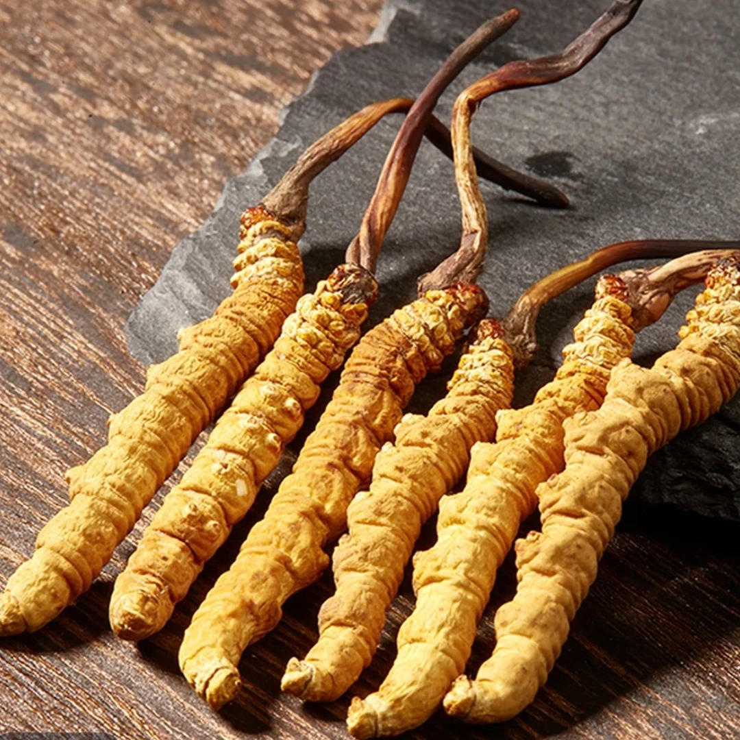 【藏区整草2根/克】头期虫草干草泡酒煲汤滋补正宗送礼高档支持试吃