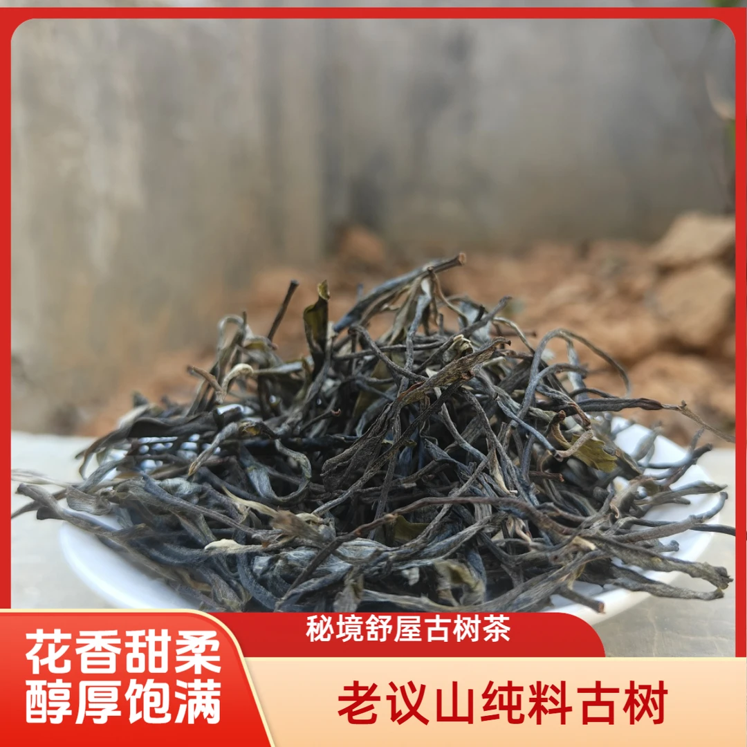 秘境舒屋古树茶2025年老议古树混采晒青毛茶250克