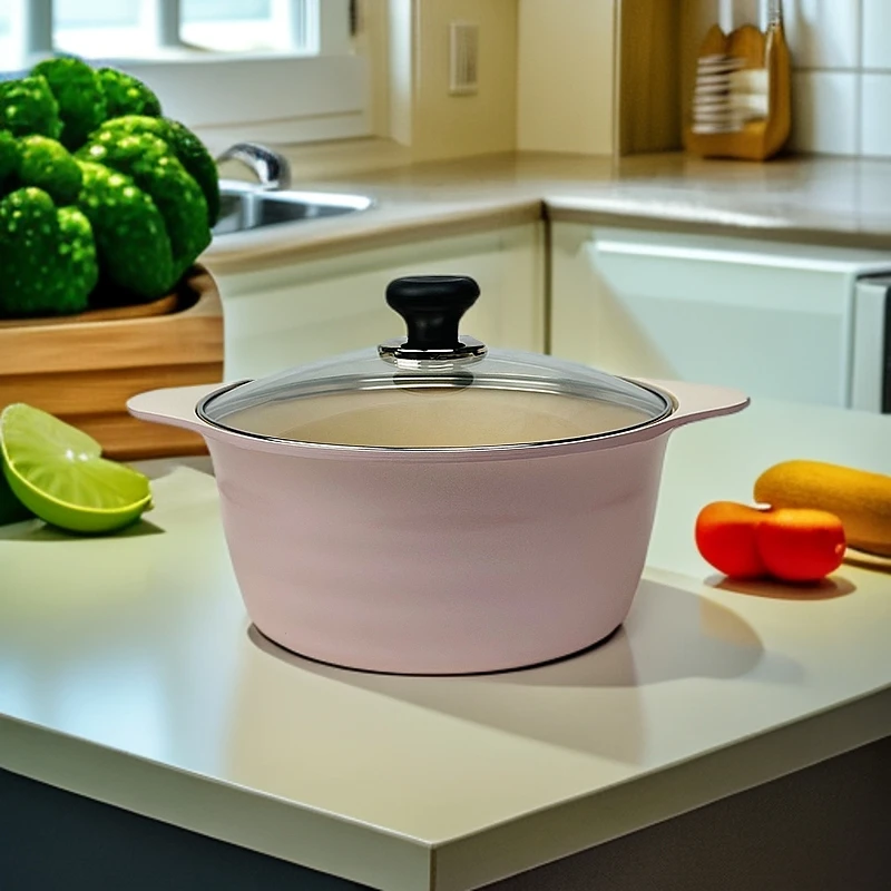 【春日焕新】韩国进口陶瓷汤锅24cm家用炖锅内外不粘一体式无油烟