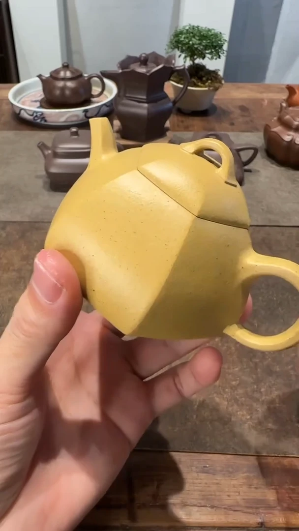 茶壶紫砂用****4本绿文旦