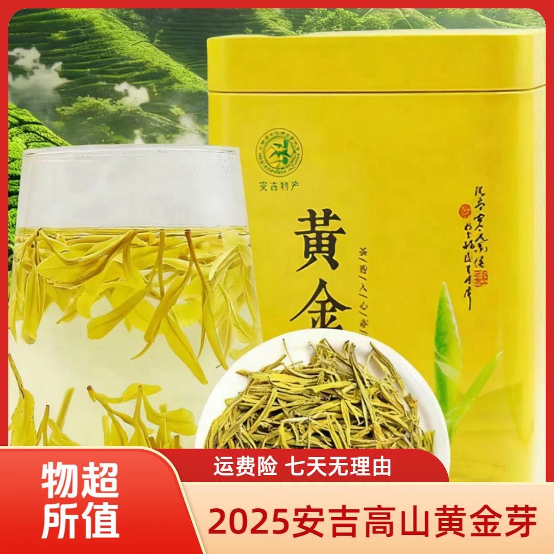【新商福利】安吉黄金芽2025新茶一尖一芽特小芽头茶叶礼盒浓香耐泡
