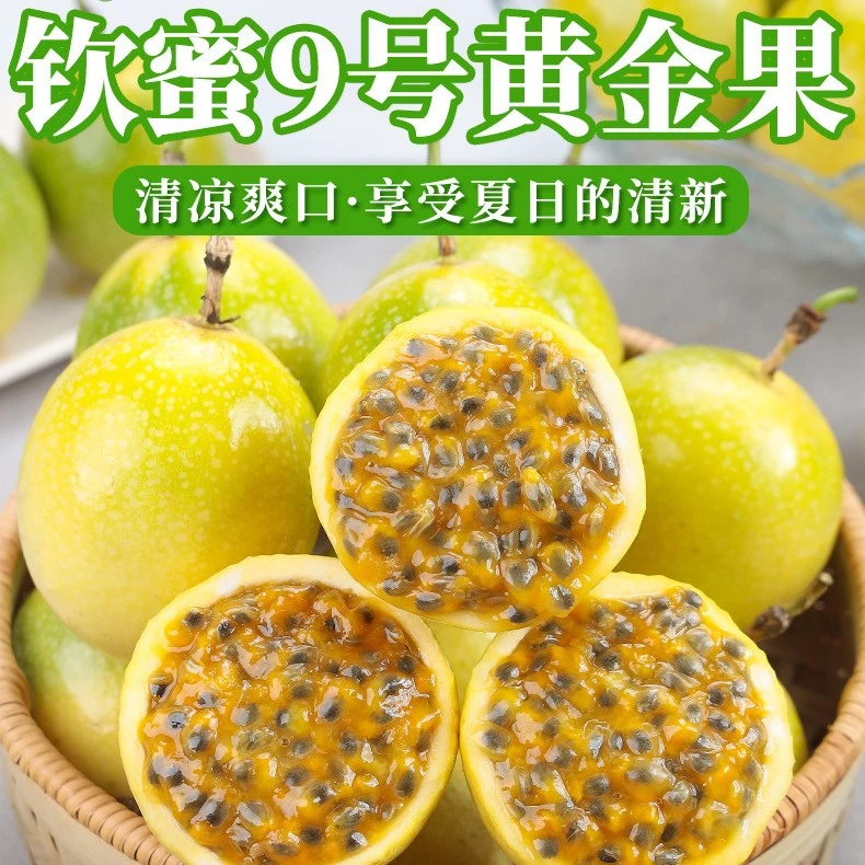 【三心专属】钦蜜九号黄金百香果12颗装新鲜采摘ZZ