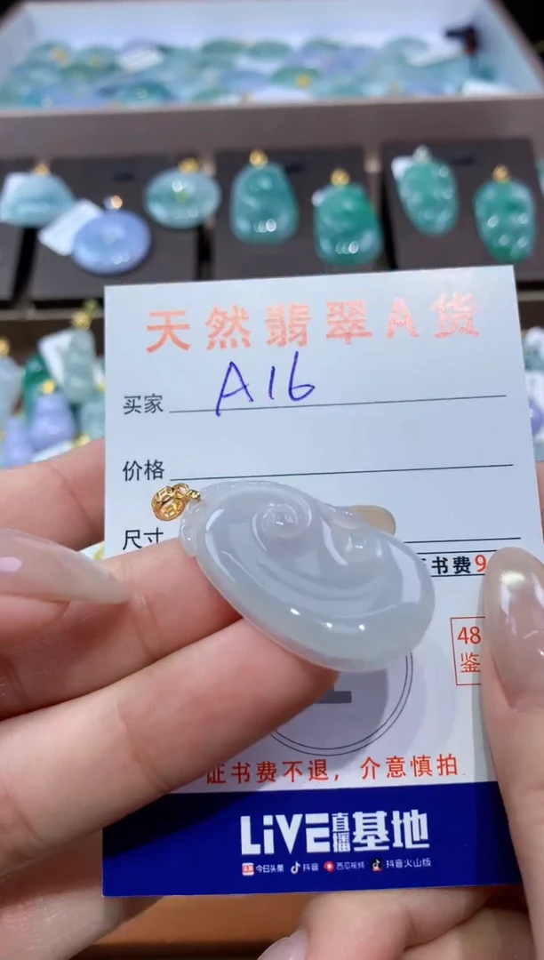 颈饰未镶嵌翡翠天然翡翠A货挂件