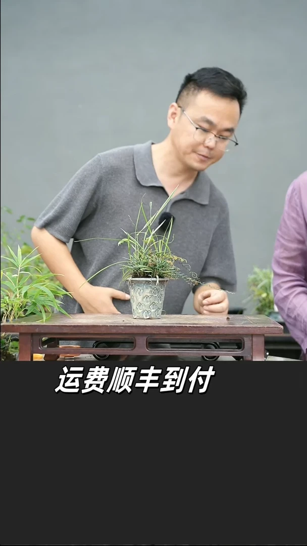 ?****染127