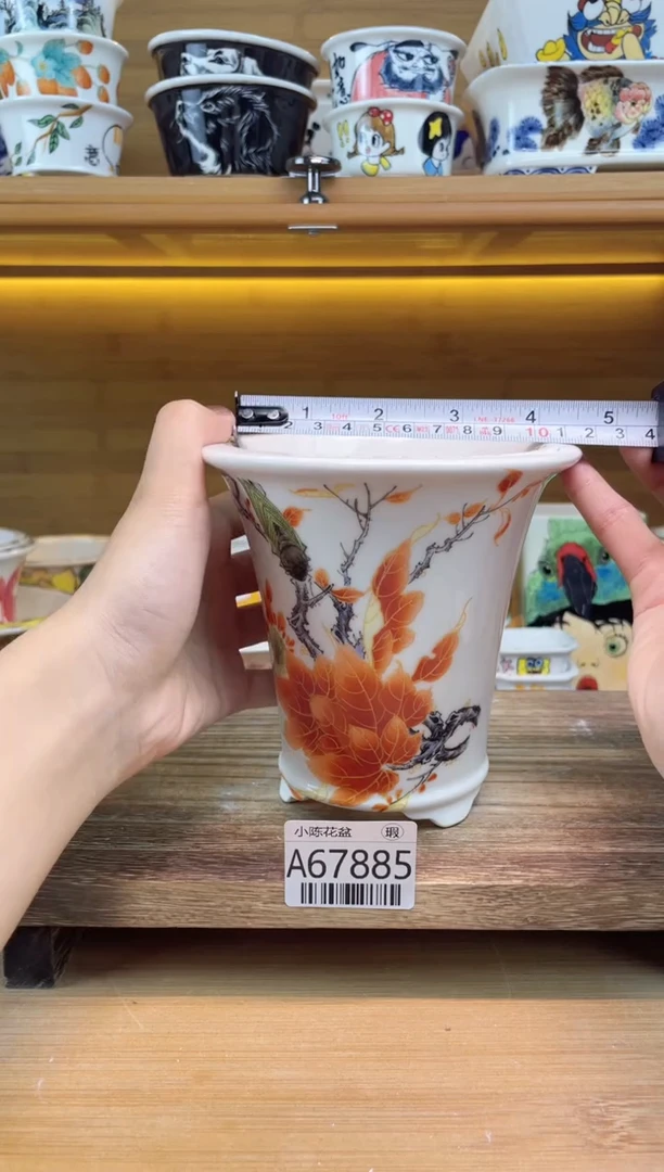 瑕【A67885】67885