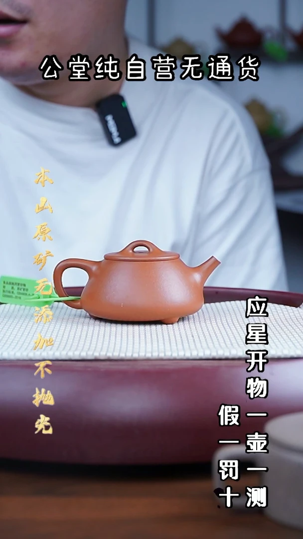 茶壶紫砂全砂朱泥 平盖石瓢 170cc