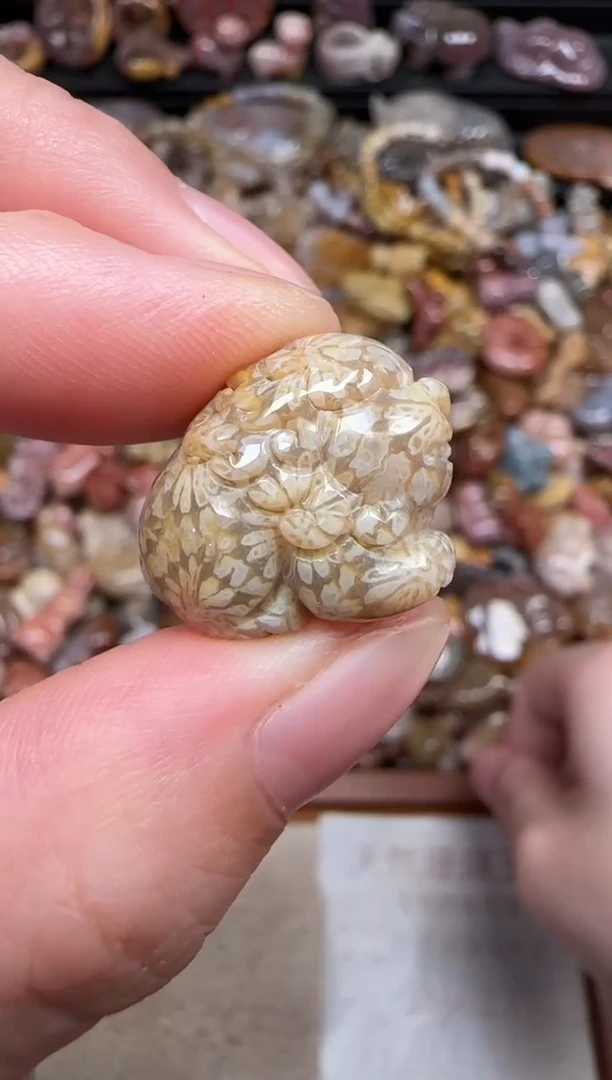 颈饰未镶嵌硅化珊瑚（珊瑚玉）648