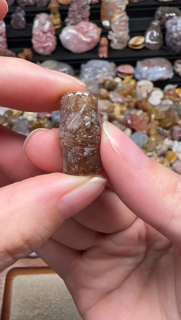 颈饰未镶嵌硅化珊瑚（珊瑚玉）788