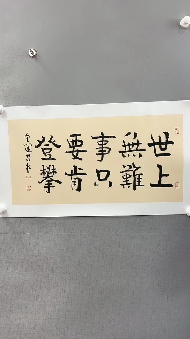 【闪购商品】书法雅艺典藏文化书法