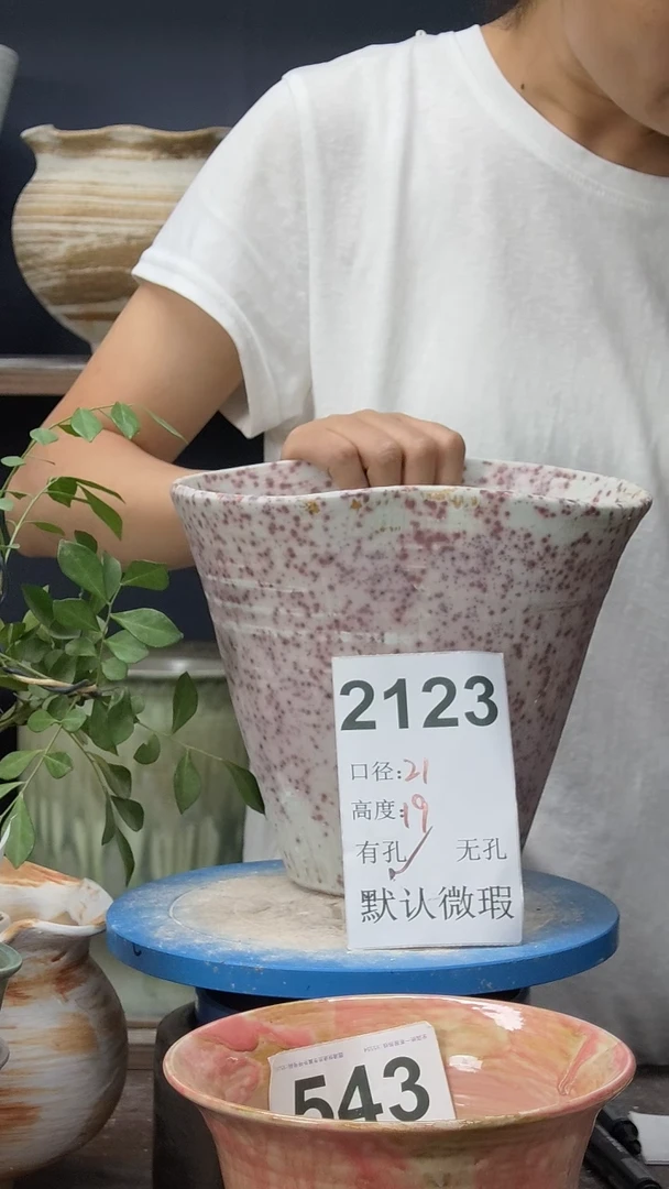 景德镇花盆默认微瑕2123