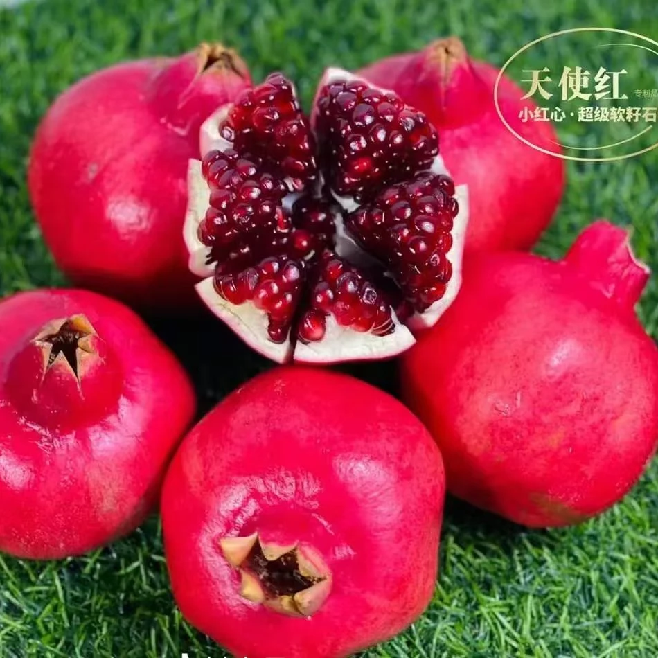 （申通快递，礼盒包装）云南天使红软籽石榴新鲜当季水果