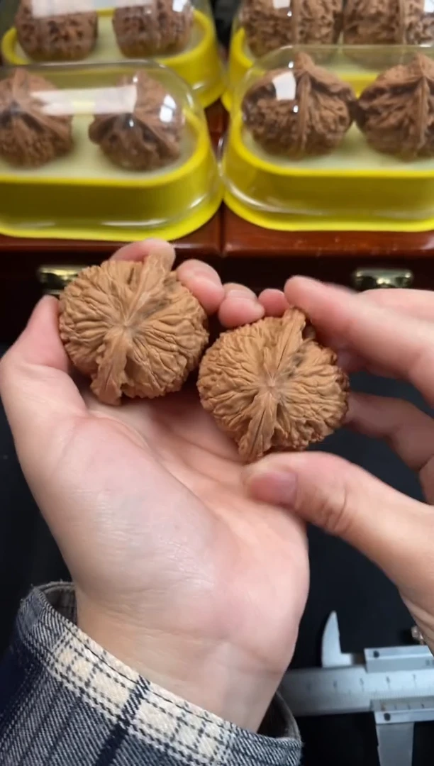 把件文玩核桃白狮子45尺Q995