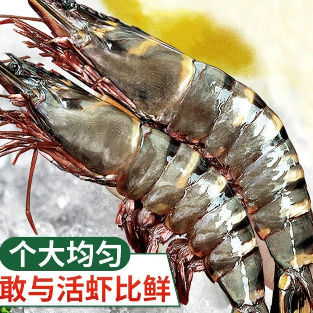 【16-20】A级巨大号黑虎虾鲜活速冻发货8-10只/斤3斤24-30约只/盒
