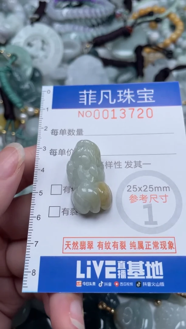 颈饰未镶嵌翡翠13720