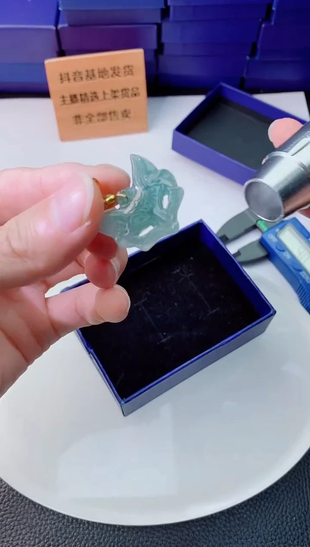 翡翠未镶嵌颈饰11111111