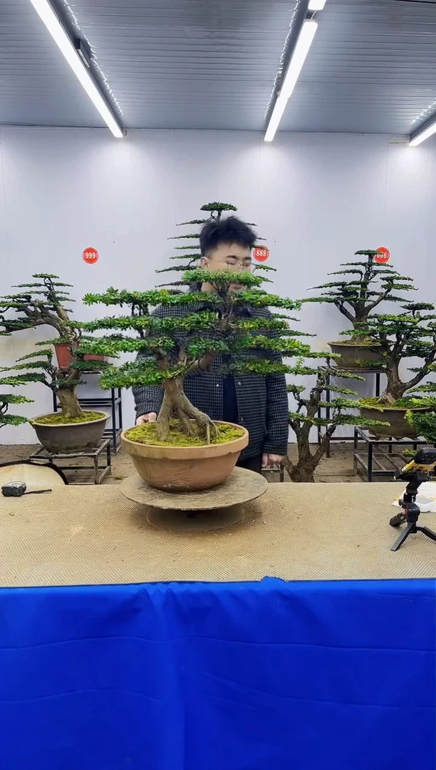 完全开放一物一拍，所见即所得