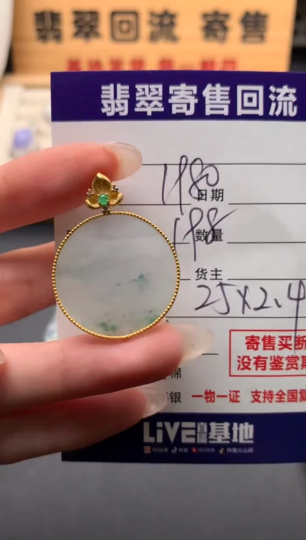 翡翠18K金镶嵌颈饰10133969